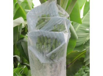 Bolsas de Polietileno